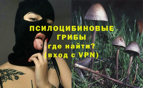 сатива Бронницы