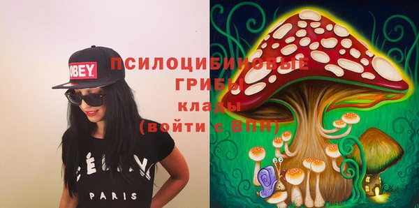 сатива Бронницы